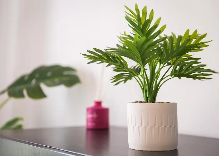 Home2book Fiona Private Pool & Wifi كوراليهو