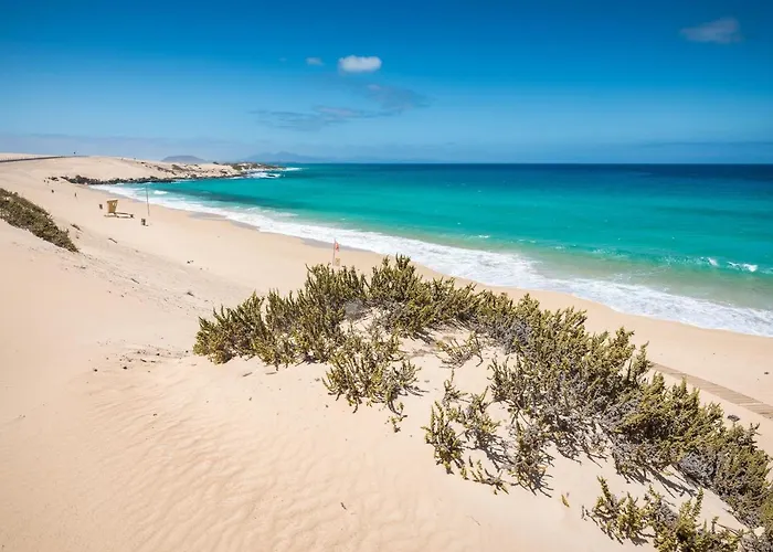 Home2book Fiona Private Pool & Wifi * Corralejo