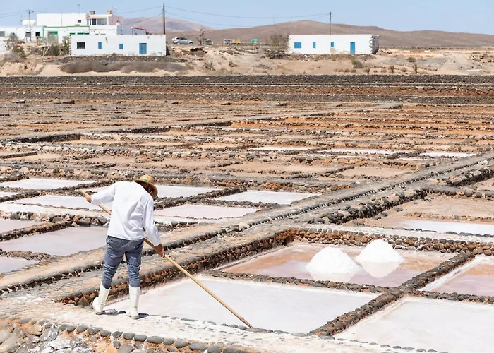 Home2book Fiona Private Pool & Wifi Villa *