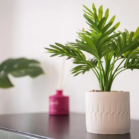 Home2book Fiona Private Pool & Wifi コラレホ