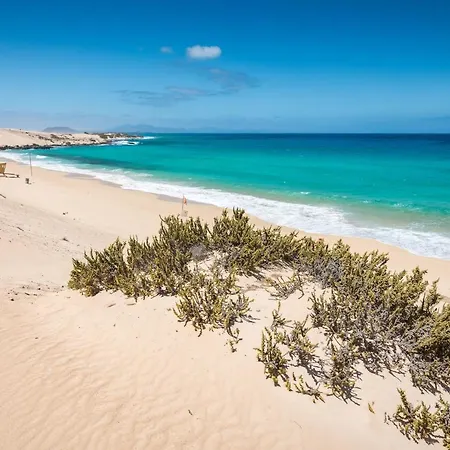 Home2book Fiona Private Pool & Wifi * Corralejo